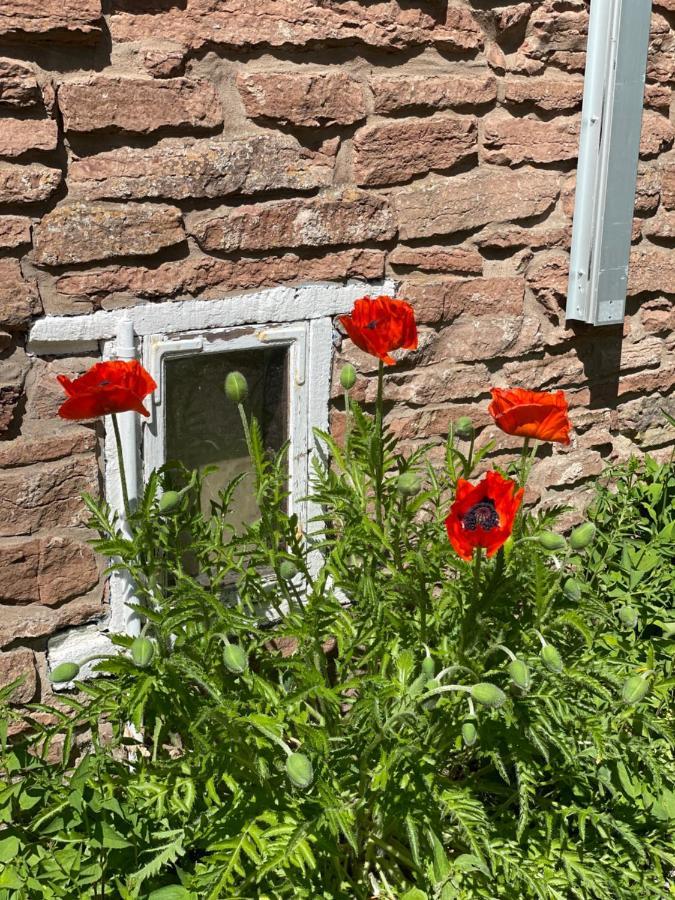 בורגהולם Rosenfors Herrgard B&B מראה חיצוני תמונה